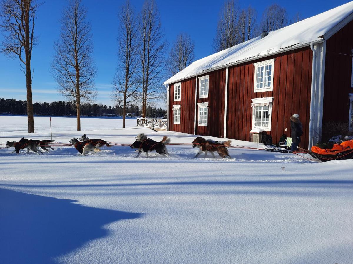 Hotel Camp Route 45 Hammerdal Exteriér fotografie